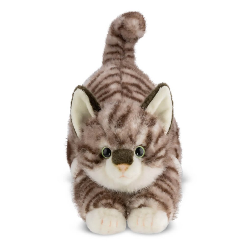 Bambinista - AURORA - Toys - AURORA Borealis Esme Tabby Cat 14In