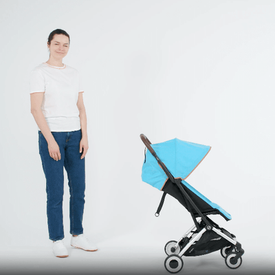 Bambinista - CYBEX - Travel - CYBEX ORFEO Pushchair in Taupe Frame - Moss Green