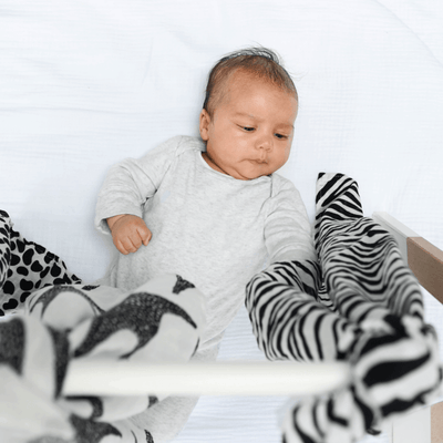 Bambinista - ETTA LOVES - Blankets - ETTA LOVES 3 - pack Animal Print Muslin Blanket