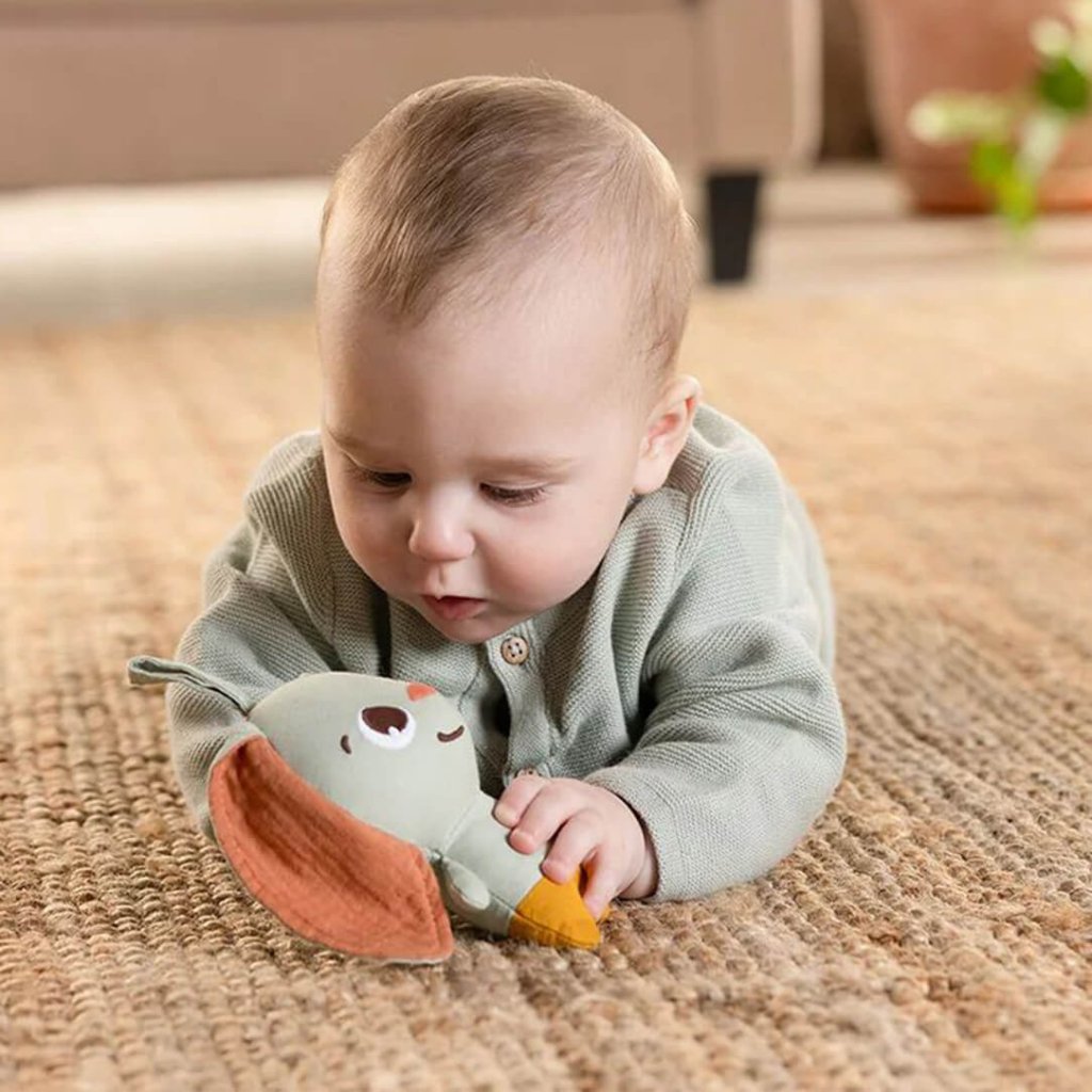 Bambinista - TINY LOVE - Toys - TINY LOVE Garden of Adventures Bunny Take Along Rattle Toy