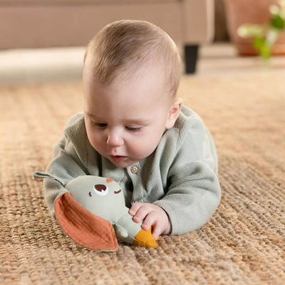Bambinista - TINY LOVE - Toys - TINY LOVE Garden of Adventures Bunny Take Along Rattle Toy