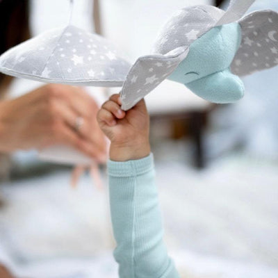 Bambinista-ADEN + ANAIS-Playmat-ADEN + ANAIS Baby Activity Gym