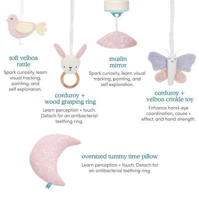 Bambinista-ADEN + ANAIS-Playmat-ADEN + ANAIS Ma Fleur Baby Activity Gym