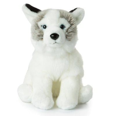 Bambinista-BON TON TOYS-Stuffed Animals-WWF Husky 23cm