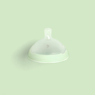 Bambinista-BORRN-Toys-BORRN Silicone Teat Slow flow Green