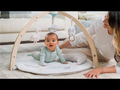 ADEN + ANAIS Baby Activity Gym