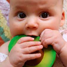 Bambinista-OLI & CAROL-Toys-OLI & CAROL Arnold the Avocado Teether / Bath Toy