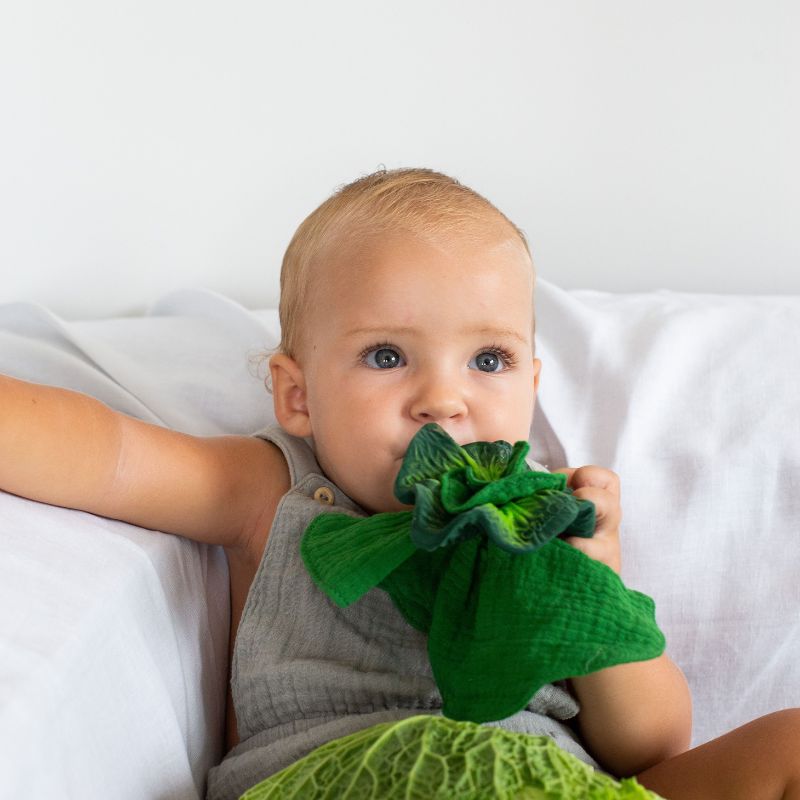 Bambinista-OLI & CAROL-Toys-OLI & CAROL Kendall The Kale Comforter and Teether