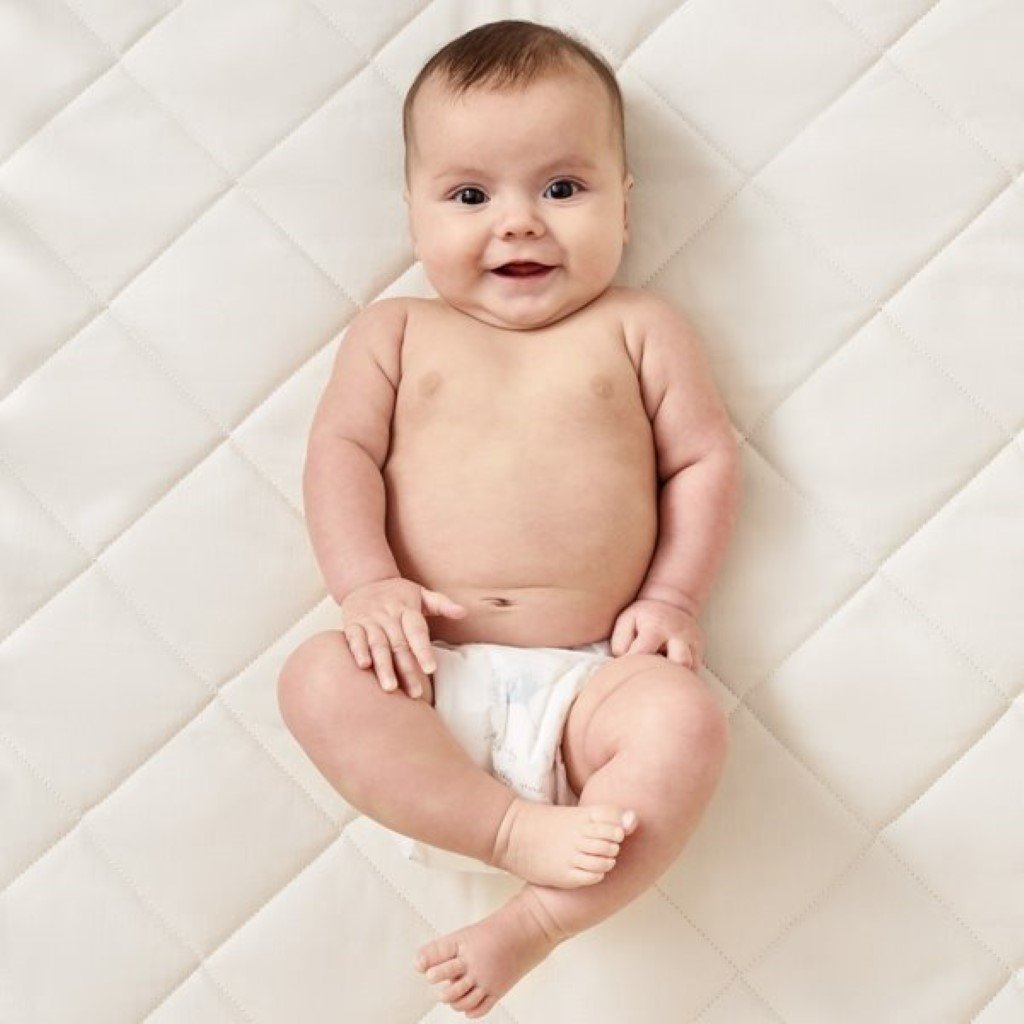 Little green sheep cot deals mattress protector