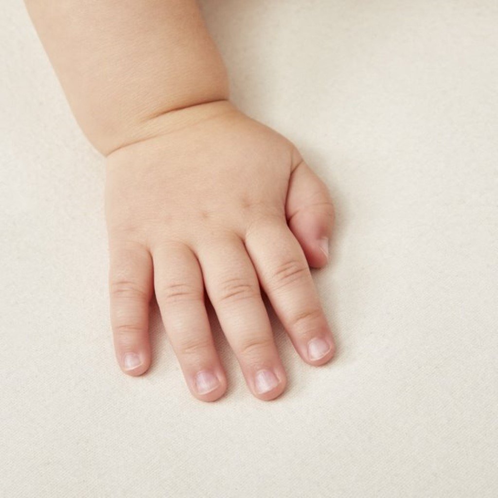 Bambinista-THE LITTLE GREEN SHEEP-Bedding-The Little Green Sheep Waterproof Moses Basket / Carrycot Mattress Protector - 30x70cm