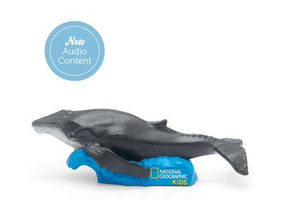 Bambinista-TONIES-Toys-TONIES National Geographic Whale